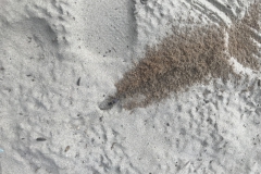 2019-09-Tansania-OK-2577