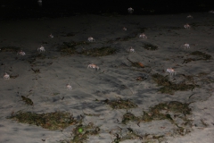 2019-09-Tansania-OK-2604