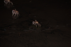 2019-09-Tansania-OK-2606