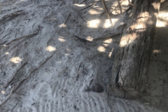 2019-09-Tansania-OK-2618