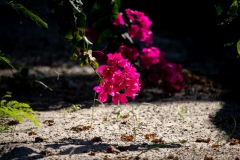 2019-09-Tansania-OK-2666