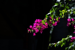 2019-09-Tansania-OK-2667