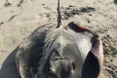 2019-09-Tansania-OK-2672