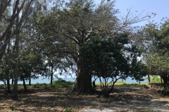 2019-09-Tansania-OK-2729