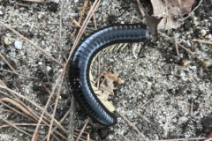 2019-09-Tansania-OK-2730
