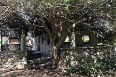 2019-09-Tansania-OK-2733