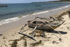 2019-09-Tansania-OK-2741