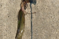 2019-09-Tansania-OK-2743