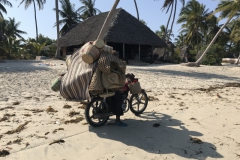 2019-09-Tansania-OK-2748