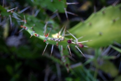 2019-09-Tansania-OK-2757