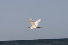 2019-09-Tansania-OK-2809