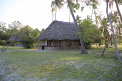 2019-09-Tansania-OK-2821