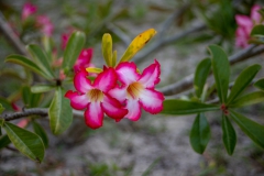 2019-09-Tansania-OK-2824