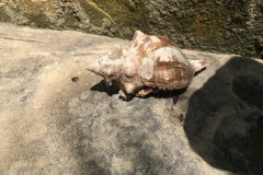 2019-09-Tansania-OK-2847